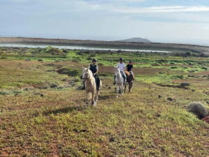 1 hour relaxing horse riding tour in Gran Canaria - Helmets, back protectors, and the quick safety rhythm