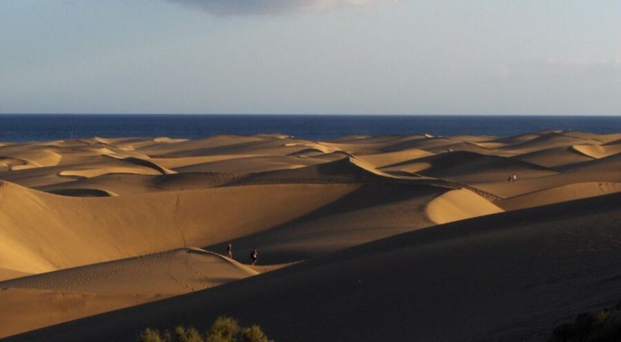 2-H Sunset or Morning Segway experience near by Sand Dunes - Price and Value: Why $90 Can Make Sense for Two Hours