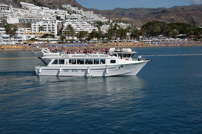 2-Hour Dolphin and Whale Watching in Gran Canaria - On-deck comfort: sun, shade, and the onboard bar