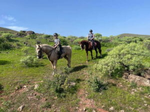 2 hours Green Mountains Horse Riding Tour - The short Telde class that makes the ride easier