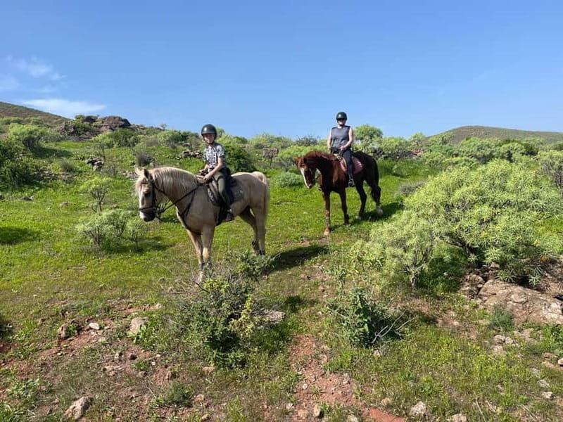 2 hours Green Mountains Horse Riding Tour - The short Telde class that makes the ride easier