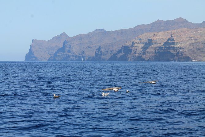 3h Boat Trip + Snorkeling in Puerto de Mogan - Photos, drone footage, and how to get the best results