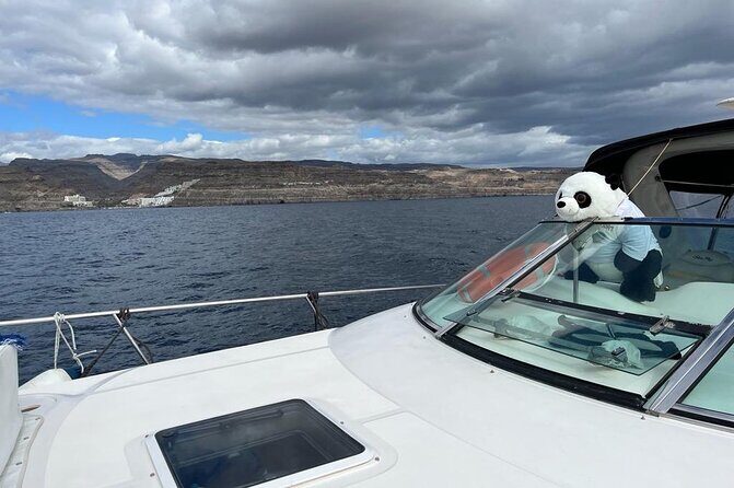 4 Hour Boat Tour with Snorkeling from Puerto Rico and Mogan - Onboard Food and Drinks: Where the Value Really Shows