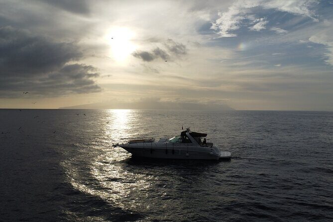 4 Hour Boat Tour with Snorkeling from Puerto Rico and Mogan - Crew Energy: Friendly, Attentive, and Usually the Difference-Maker