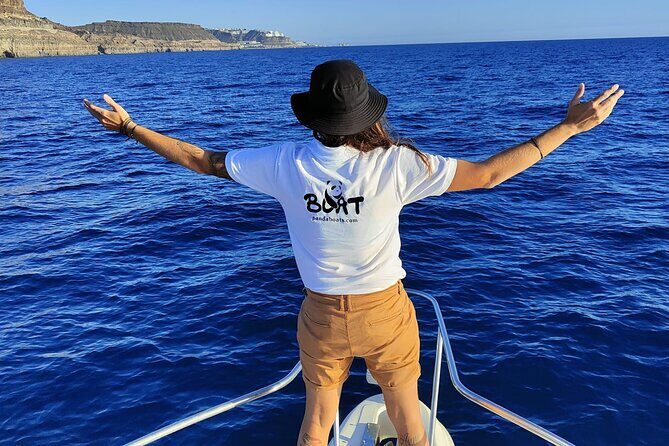 4 Hour Boat Tour with Snorkeling from Puerto Rico and Mogan - Getting There and Getting Comfortable: Pickup and Motion-Sickness Reality