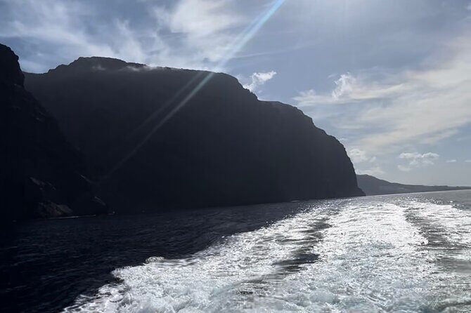 4 Hour Boat Tour with Snorkeling from Puerto Rico and Mogan - Price Check: Is 90.74 Worth It in Real-Life Terms?