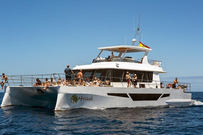 Afrikat Afternoon Cruise - Lunch and drinks on-board: what’s included (and what you should expect)