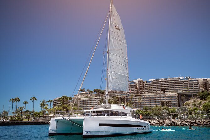 Afternoon Catamaran Trip in Gran Canaria - Key highlights at a glance