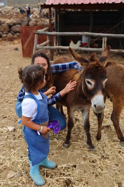 Agüimes : Be a farmer for the day at La Jaira de Ana - The 2.5-hour flow: what happens from start to finish