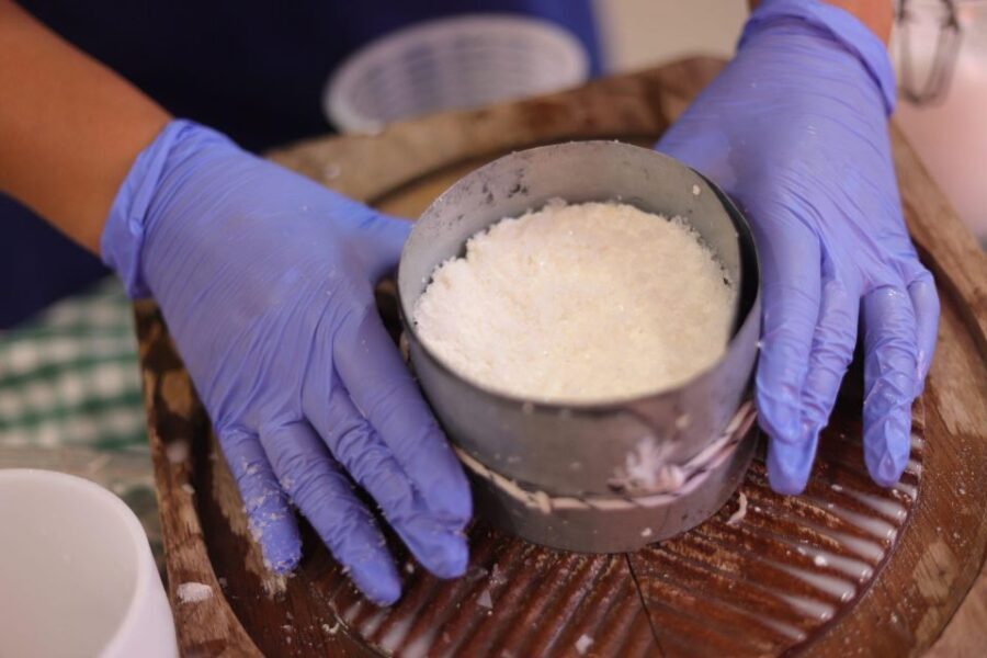 Aguïmes : Cheese Making Workshop at la Jaira de Ana - Goat cheese workshop on Gran Canaria: what you’re really paying for