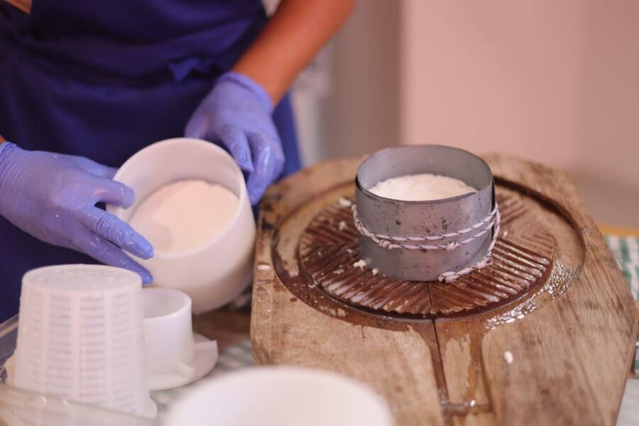 Aguïmes : Cheese Making Workshop at la Jaira de Ana - The farm experience vibe: animals, outdoor moments, and real work