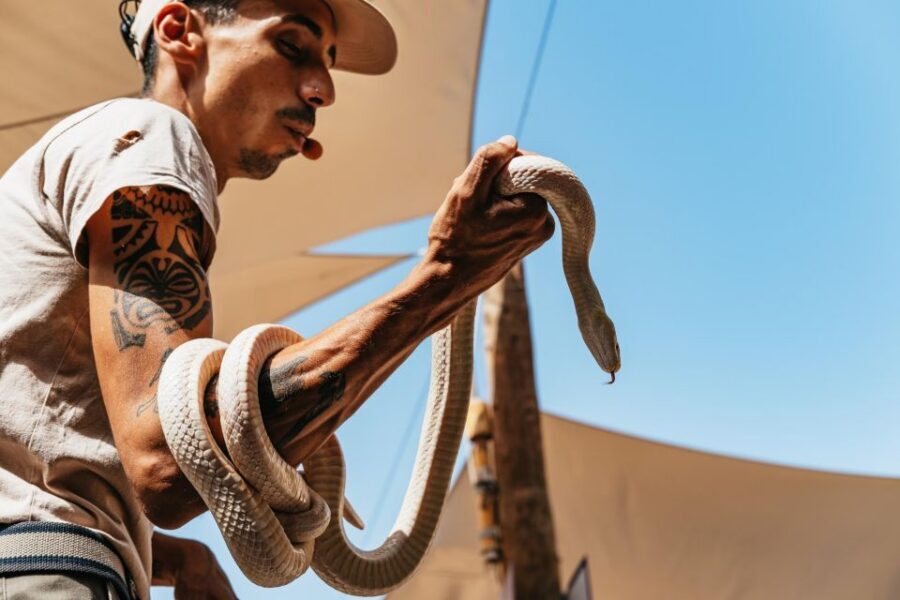 Agüimes: Cocodrilo Park Zoo Entry Ticket - Key things I’d focus on first