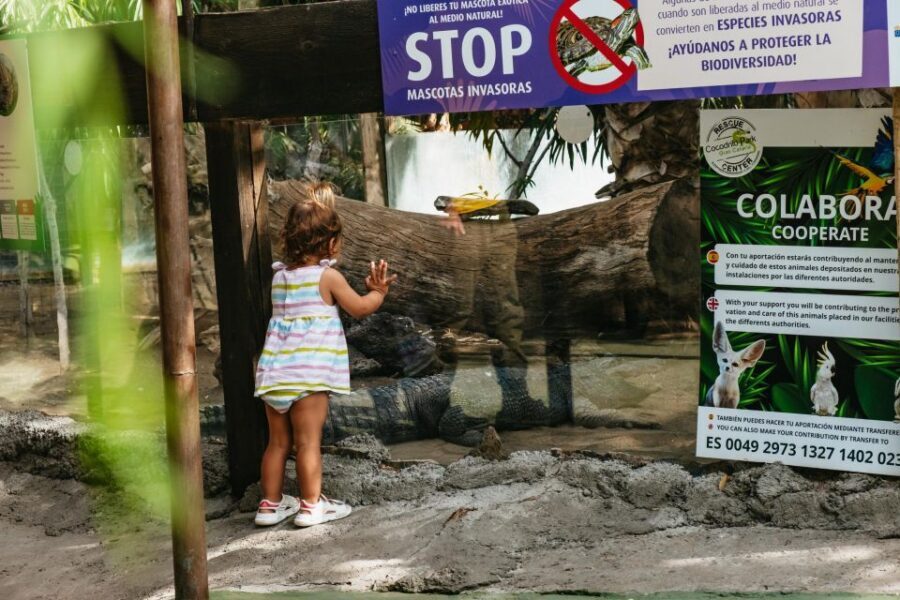 Agüimes: Cocodrilo Park Zoo Entry Ticket - Small signs, big learning: language and how to read your way around