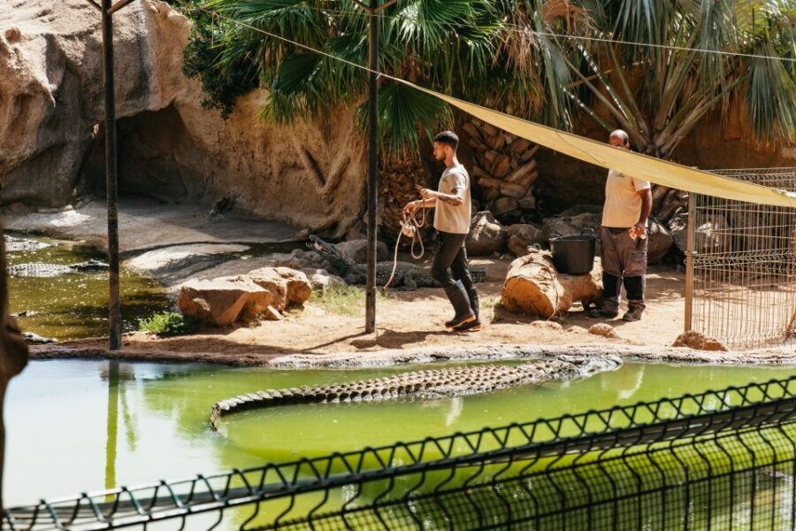 Agüimes: Cocodrilo Park Zoo Entry Ticket - Cocodrilo Park in Agüimes: what makes it worth your ticket price