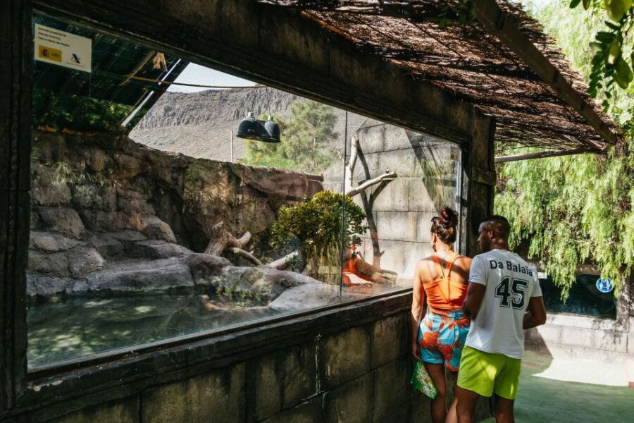 Agüimes: Cocodrilo Park Zoo Entry Ticket - The alligator center stage: what to look for beyond the first wow