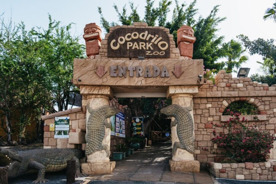 Agüimes: Cocodrilo Park Zoo Entry Ticket - Food at the Monkey snack-bar and on-site restaurant: plan for cash and timing
