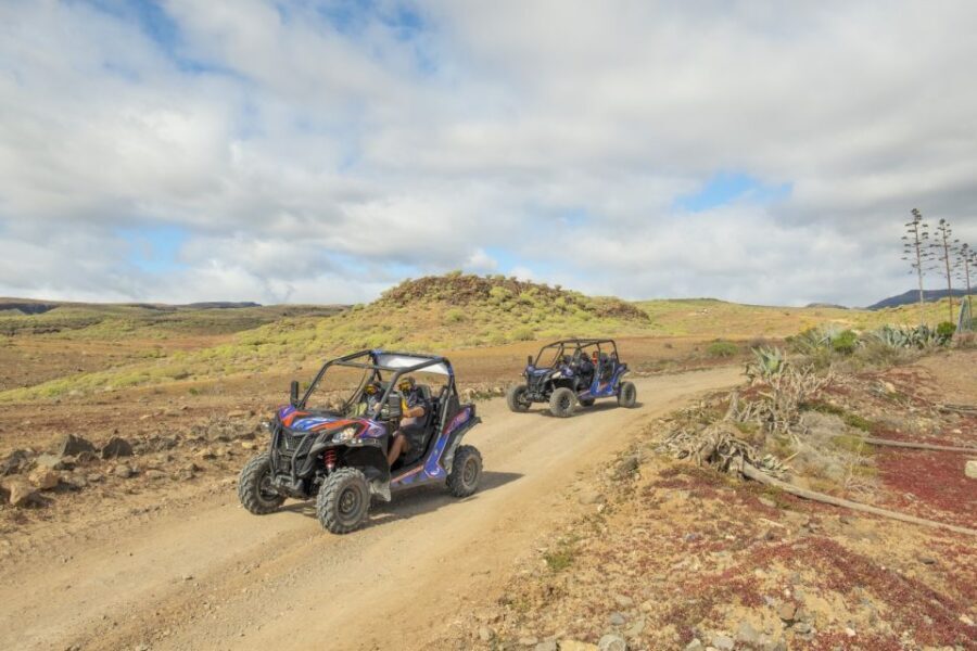 Anfi beach: Guided Buggy Tour. - Price and Value: $175 Per Group Up to Two for a Real Guided Drive