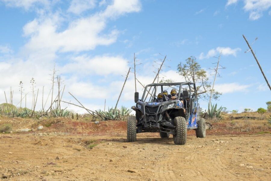 Anfi beach: Guided Buggy Tour. - Driving Requirements and Other Rules That Matter