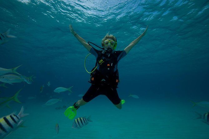 Beginners Scuba Diving Experience in Gran Canaria - Location and Transport Reality: Las Palmas Address vs Southern Beaches