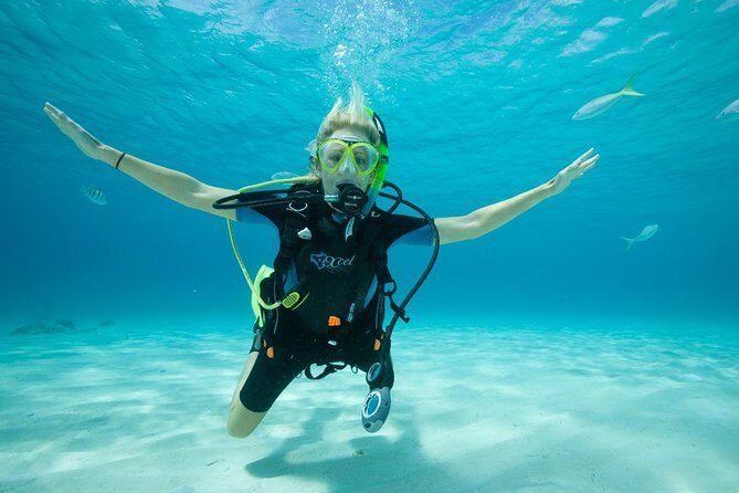 Beginners Scuba Diving Experience in Gran Canaria - Shallow Skills in the Harbor: Learning to Breathe and Stay Calm