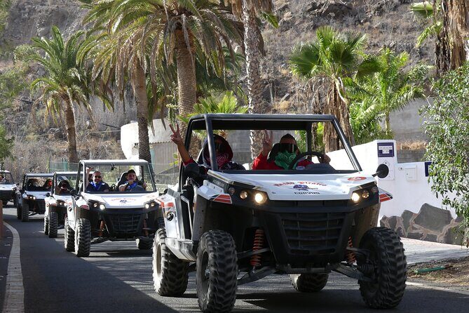 Buggy Tour Gran Canaria - From reservoir down into plant-filled terrain