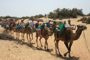Camel Riding in Maspalomas Dunes - Entering The Start Point: Maspalomas Dunes dromedary and Finding Your Way