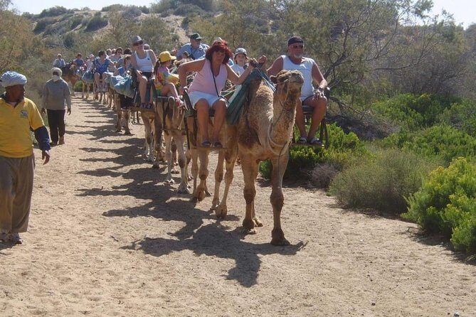 Camel Riding in Maspalomas Dunes - Staff, Safety, and Animal Care: What Looks Good and What You Should Watch