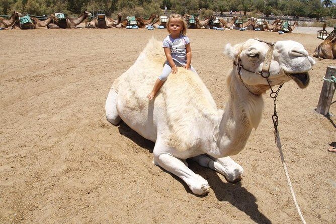 Camel Riding in Maspalomas Dunes - Packing Smart: What to Wear for Sand, Sun, and a Seated Ride