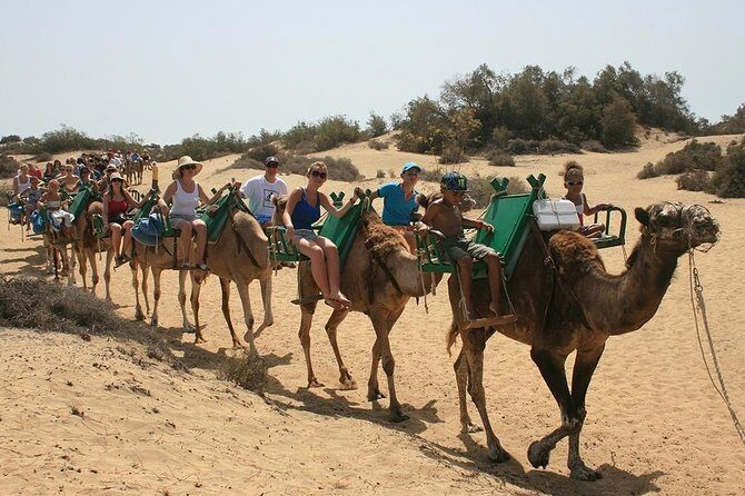 Camel Riding in Maspalomas Dunes - Entering The Start Point: Maspalomas Dunes dromedary and Finding Your Way
