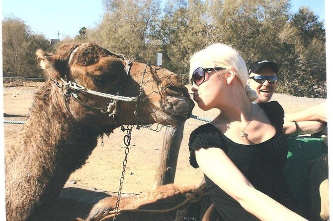 Camel riding in the dunes of Maspalomas - Meeting at Camel Safari C. Oceanía and how check-in really works