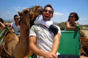 Camel Safari through the Dunes of Maspalomas - Where you meet and how to dodge the long wait