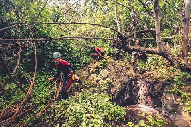 Canyoning with Waterfalls in the Rainforest - Small Groups ツ - Waterfall time: slides, jumps, climbing, and abseiling
