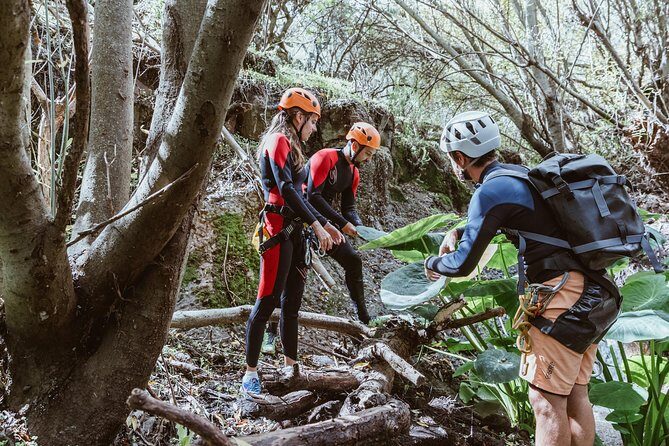 Canyoning with Waterfalls in the Rainforest - Small Groups ツ - Lunch, restrooms, and the practical stuff you’ll notice