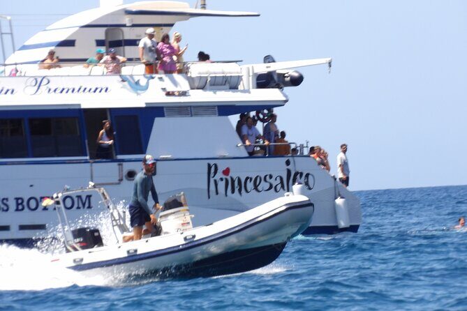 Catamaran Cruise from Puerto Rico (Full package) - The sail from Puerto Rico to Mogán: south coast in one loop