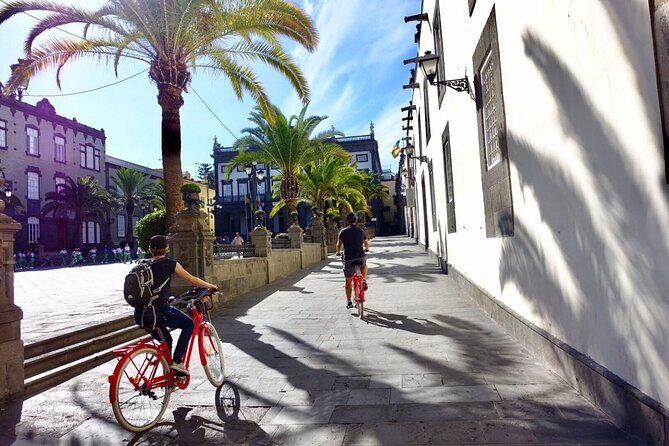Discover Las Palmas City by Bike in 4 hours - Stop 2: Basilica de Santa Ana and the Canarian dogs