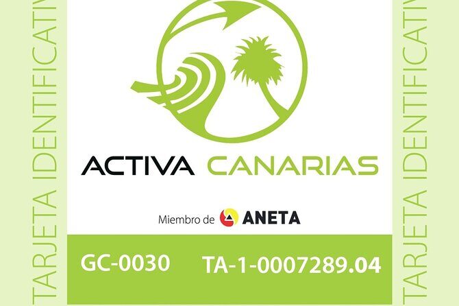 Discover Scuba Dive in Gran Canaria - Guide quality and first-timer coaching (Alex and Mike)
