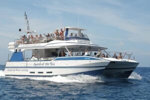 Dolphin and Whales watching cruise from Puerto Rico de Gran Canaria - Glass-bottom panels: what you’ll likely see and how viewing works