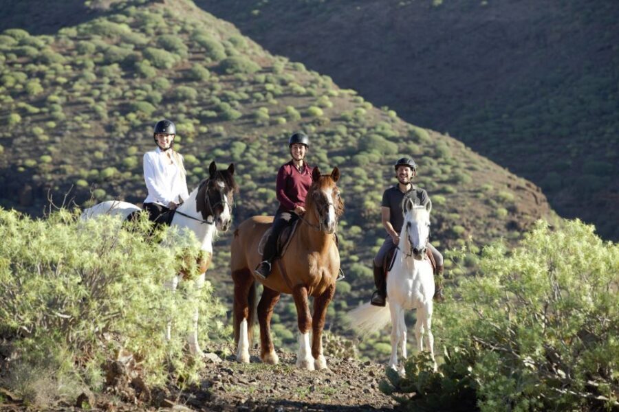El Salobre: Horse Riding Adventure with Transfer Options - Key points to know before you book El Salobre