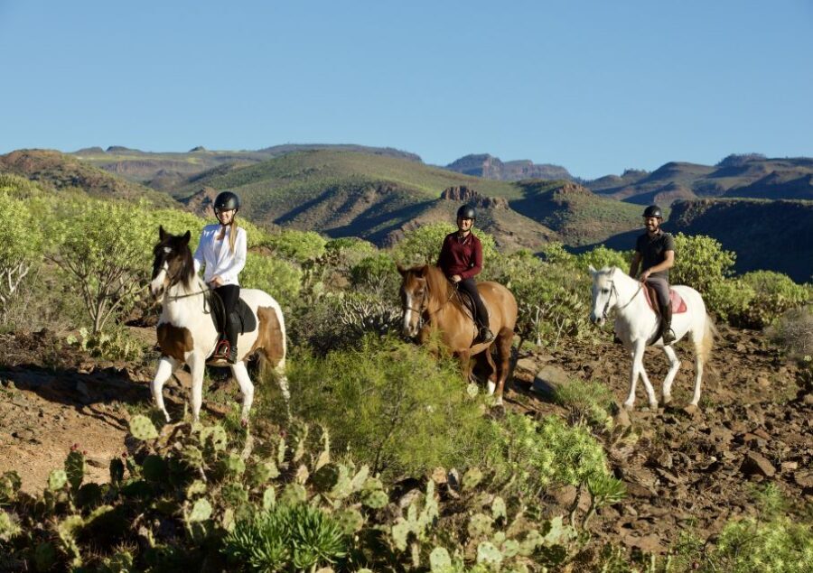El Salobre: Horse Riding Adventure with Transfer Options - Getting Started at El Salobre: helmets, horse matching, and quick safety checks