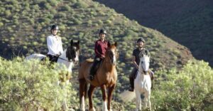 El Salobre: Horse Riding Adventure with Transfer Options - The actual ride: 1.5 to 2 hours through volcanic trails (and how the pace works)
