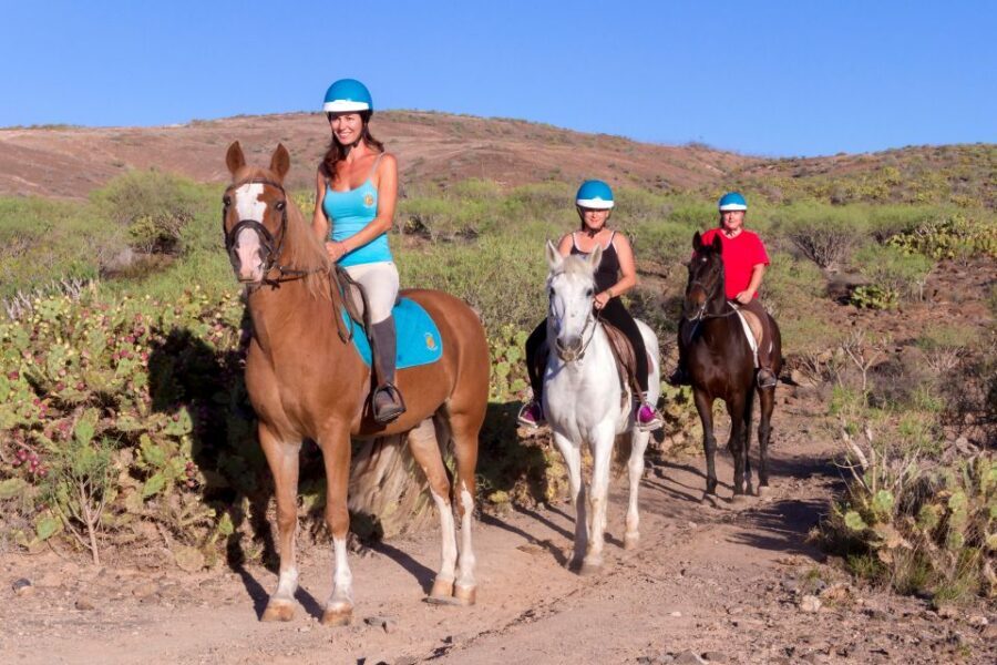 El Salobre: Horse Riding Adventure with Transfer Options - The views that make it worth the effort: plantations, rocky country, and Maspalomas dunes