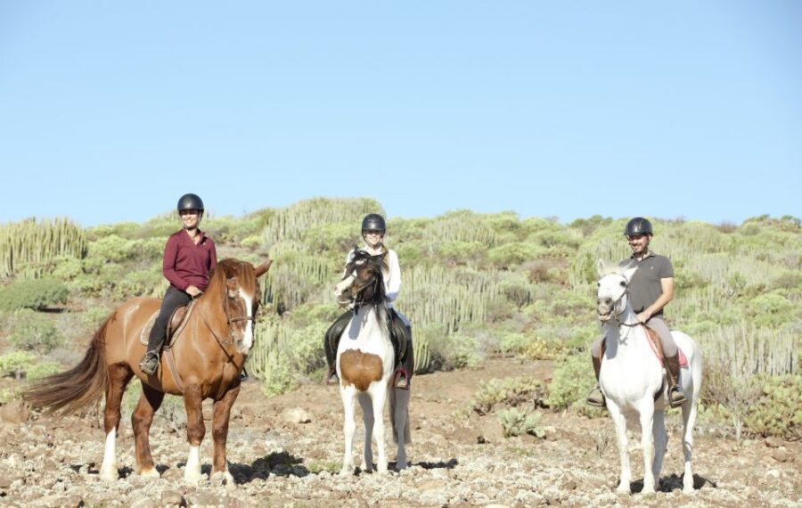 El Salobre: Horse Riding Adventure with Transfer Options - Group size and guide languages: feel safe, hear instructions, and move as one