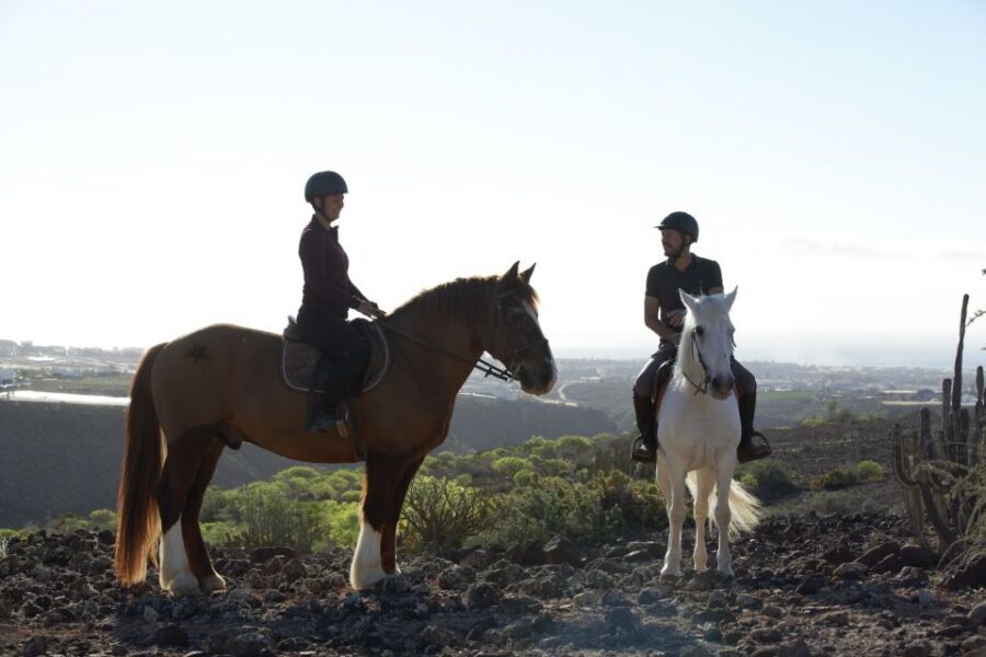 El Salobre: Horse Riding Adventure with Transfer Options - Who should book El Salobre, and who might want another option