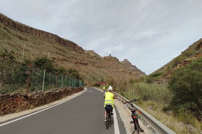 Electric Bike Panoramic South Coast Tour Optional Fishing Tapas - Botanical Park of Maspalomas: mango, papaya, aloe, banana