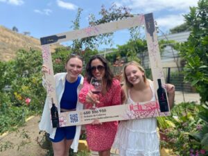 From Las Palmas: Best Wineries and Views Tour - The pocket vineyard stop: tiny, delicate, and worth paying attention to