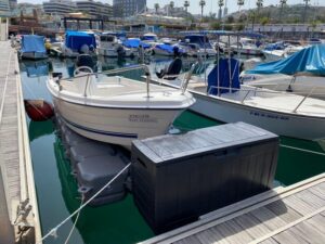 From las Palmas : Day sailing experience along the coast - Helm Time in a Zodiac: Drive Like a Captain