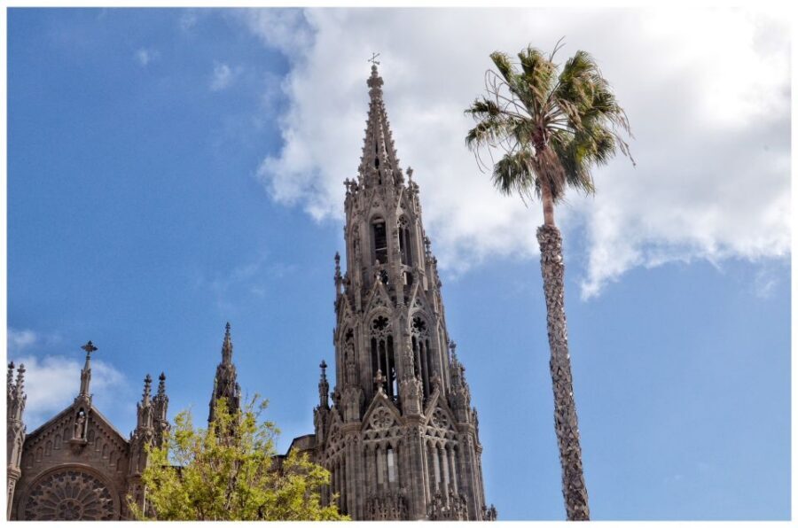 From Las Palmas: Full-Day Tour of the North - Key Things I’d Pay Attention To