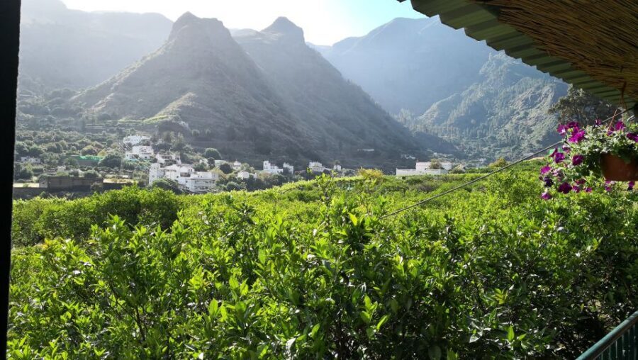 From Las Palmas: Full-Day Tour of the North - West of the Island Vineyard Tasting: Wine, Local Cheese, and a Planned Break