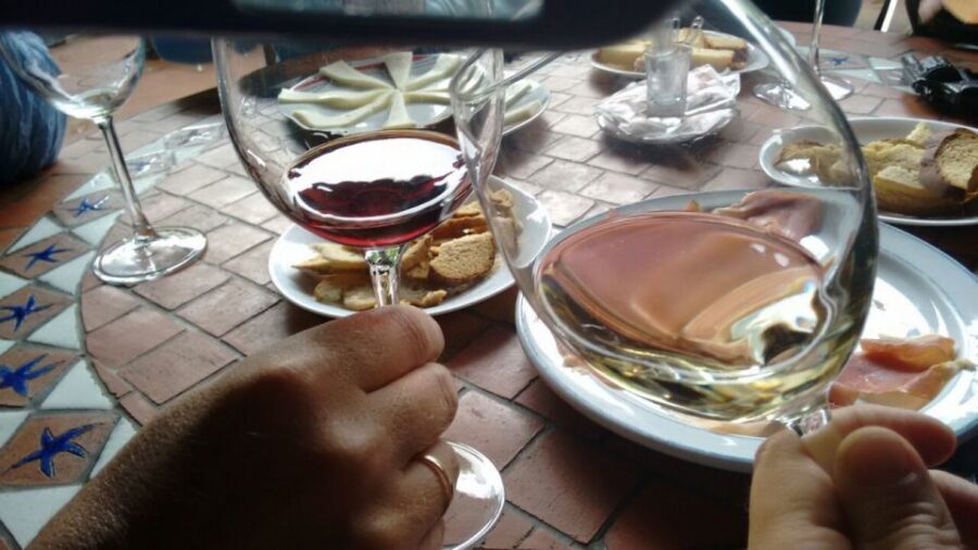 From Las Palmas: Full-Day Tour of the North - Agaete Coffee Fields and Arabyca Typica in the Berrazales Valley