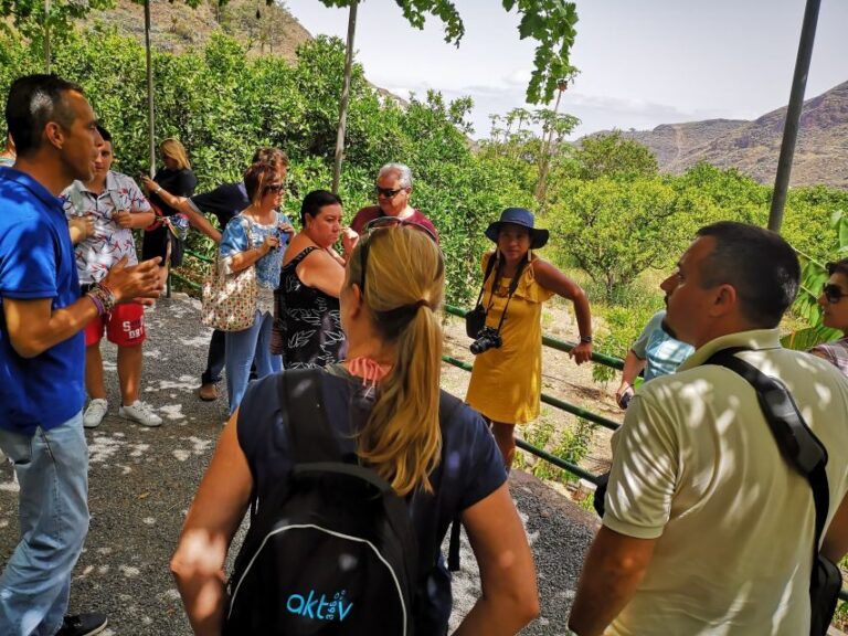 From Las Palmas: Full-Day Tour of the North - The Bilingual Tour Style: Spanish and English at the Same Time